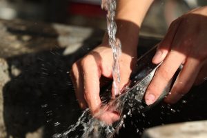 Hände reinigen Geschirr unter fließendem Wasser, zeigen Sauberkeit und Hygiene, ideal für Küchen- und Haushaltsprodukte.