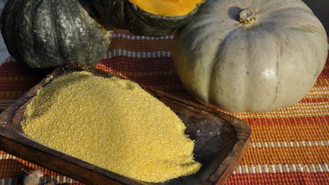Ein Bild von gelber Polenta auf einer Holzplatte, umgeben von Kürbissen in verschiedenen Farben und Größen, ideal für kulinarische Inhalte.