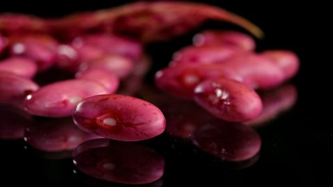 Rote Bohnen mit glänzender Oberfläche, reflektierend auf schwarzem Untergrund, ideal für kulinarische Anwendungen und Rezepte.