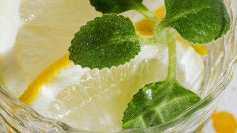 Ein Glas mit Zitronenscheiben und frischen Minzblättern, ideal für erfrischende Getränke und Sommerrezepte.